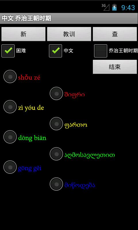 Chinese Georgian Dictionary Screen 3