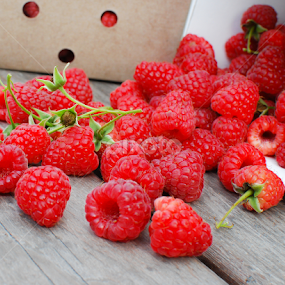 Spilled Berries by David Kreutzer - Food & Drink Fruits & Vegetables