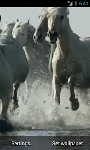 How to install Horses video live wallpaper HD patch 3.0 apk for laptop