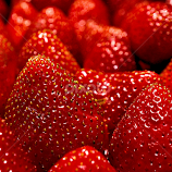 Very Berry by Becky McGuire -  