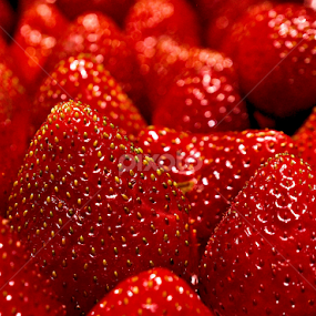 Very Berry by Becky McGuire - Food & Drink Fruits & Vegetables