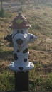 Dalmatian Fire Hydrant