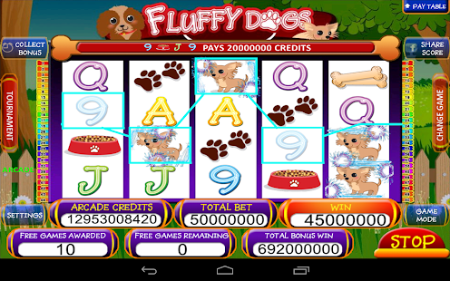 Play born to be rich slot machine