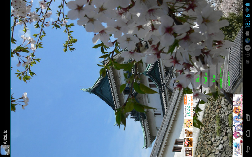 免費下載旅遊APP|和歌山城(JP036) app開箱文|APP開箱王
