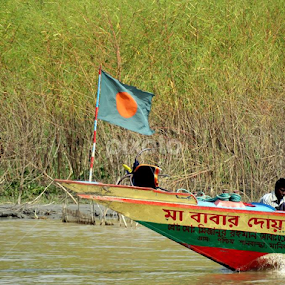 Freedom by Apu Jaman - Landscapes Travel