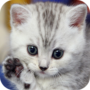 Adorable Pet Farm.apk 1.0