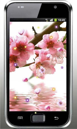 Sakura East HD live wallpaper