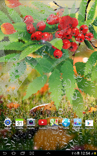 【免費個人化App】Autumn Live Wallpaper-APP點子