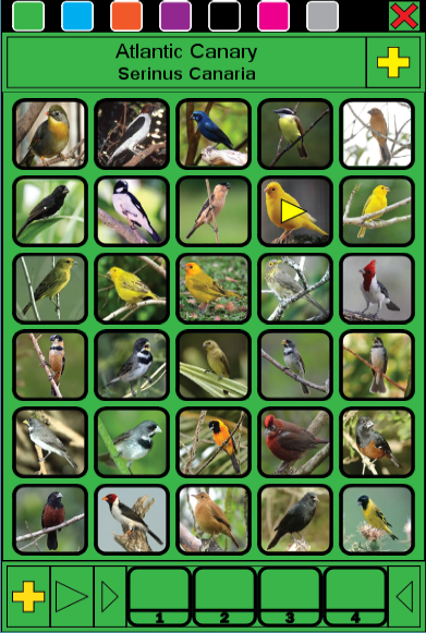 Sound of Bird Screen 3