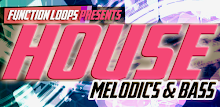 House Melodics & Bass for AEM APK