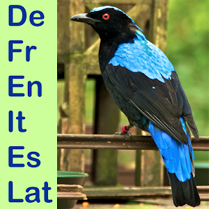 AsiaBird Translator 1.0