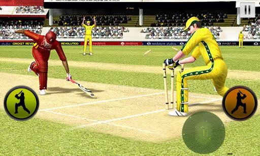 Play Cricket Worldcup 2015