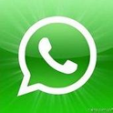 WhatsApp Messenger icon
