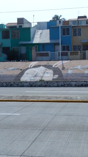 Mural Niña Coneja
