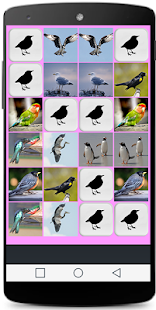 Bird Memory Game Screenshots 4