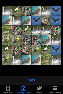 Lastest Save Our Birds APK