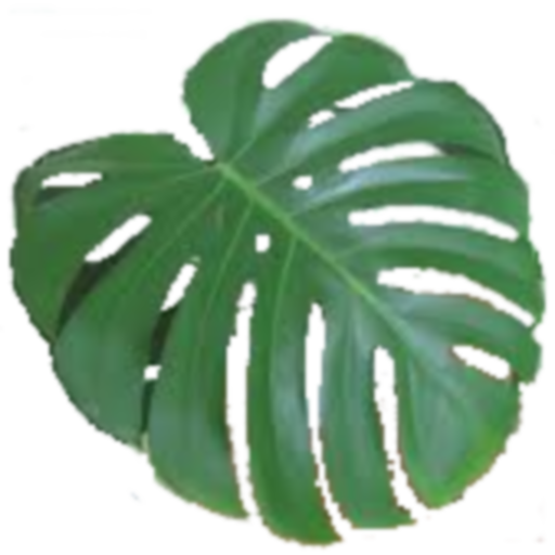 Регистратор (списки и записки) moded apk - Download latest version 23