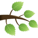 GedTree APK