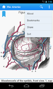 免費下載醫療APP|Gray's Anatomy Lite app開箱文|APP開箱王