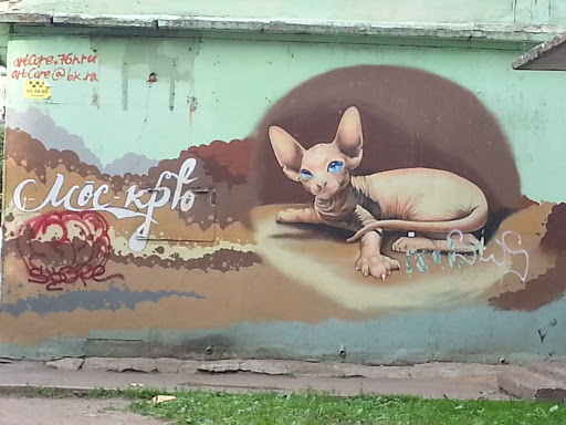 Graffiti-Nude Cat