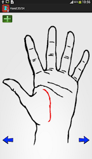 How to Draw: Human Body Parts Screenshots 4