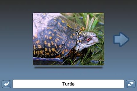 How to download NounStar Learn English - Free 1.0 unlimited apk for laptop