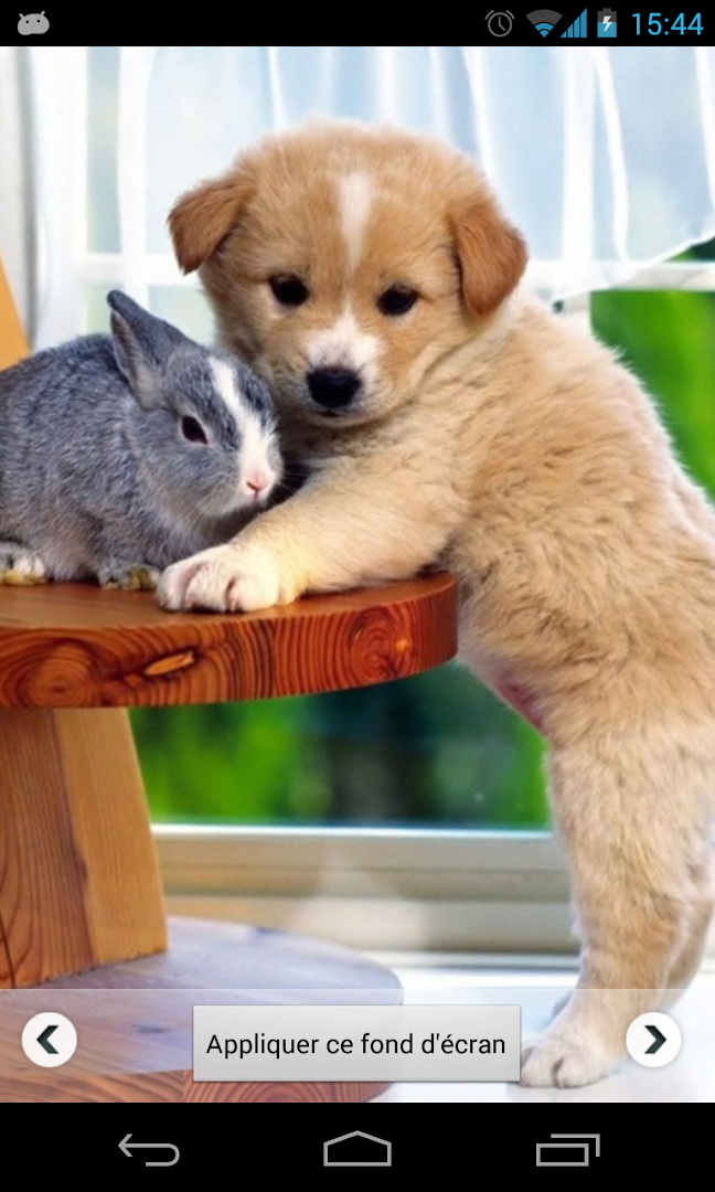 bMdS3oh9ps0ZyfhpX0p62nY-rRte_0jYqusmTifB_ZCvuiNbOGCsTWu7IgpZvYFNFz2L=h1080