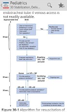 Pediatrics & Neonatology TR