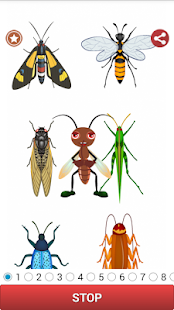Lastest Insect Sound APK for PC
