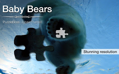 Baby Bear Jigsaw Puzzles Demo poster 5