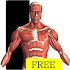 Visual Anatomy Free5.5