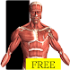Visual Anatomy Free