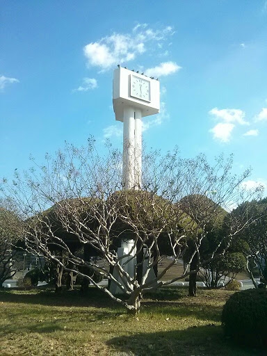 시계탑 in KNU
