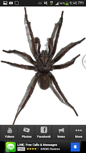 How to mod All About Spider Info App 1.01 apk for laptop