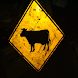 Farm Animals