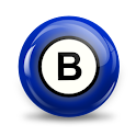 Bingo Setup Hall logo