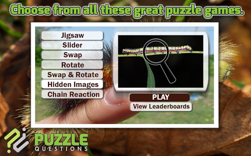 Caterpillar Puzzle Games