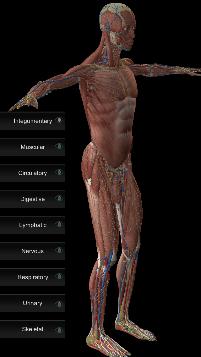 Doctor 3D Screen 2