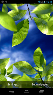 Fresh Leaves - screenshot thumbnail