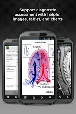 Harrison's Manual of Medicine