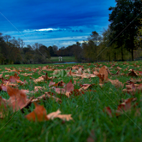 by James Blyth Currie - Uncategorized All Uncategorized