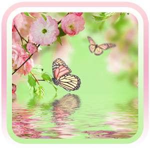 spring flower LiveWallpaper.apk 1.1