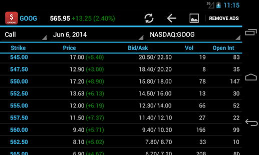 Stock Option Quotes