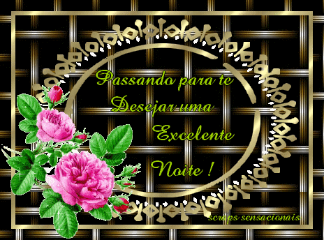 boanoite02.gif