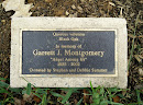 Montgomery Memorial Black Oak