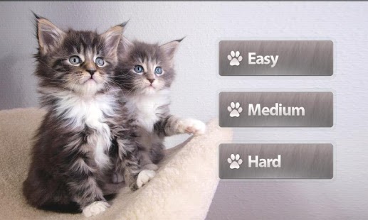 How to download Cats Memory Game patch 1.0.6 apk for laptop
