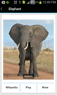 How to get Animal Sound & Photos for Kids 1.0 unlimited apk for android