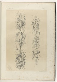 Twee trofeeën van groente, gevogelte en keukengerei