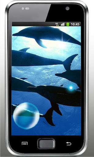 Dolphins Photo live wallpaper