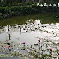 菁芳園 Tenway Garden／花園餐廳／落羽松